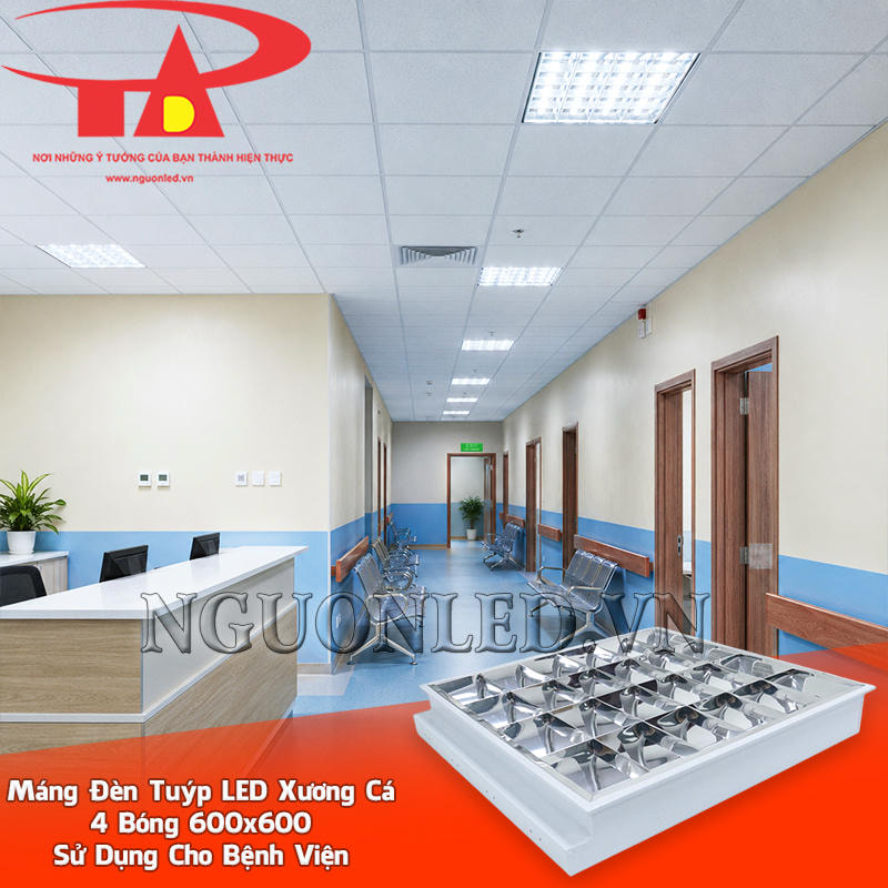 Máng xương cá 600x600 4 bóng bố trí âm trần dọc hành lang và khu ghế chờ bệnh viện