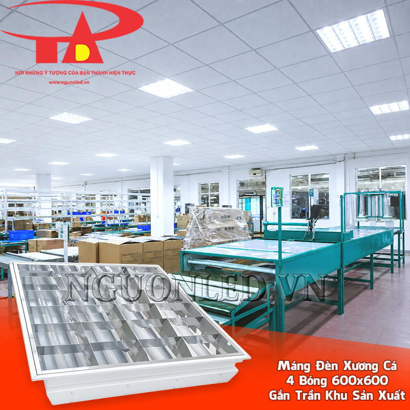 Máng đèn LED âm trần 600x600 4 bóng bố trí theo nhiều ô trần tại khu sản xuất có la-phông