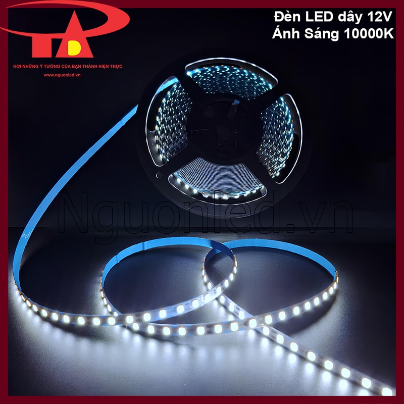 Đèn LED dây 12V ánh sáng trắng 10000K giúp chiếu sáng không gian một cách tinh tế và mạnh mẽ