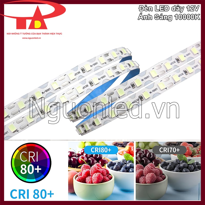 Đèn LED dây 12V ánh sáng 10000K với chỉ số hoàn màu cao mang lại màu sắc tự nhiên và chân thực