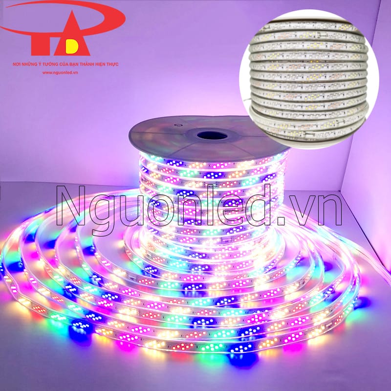 Dây led chạy đuổi 2835 3 hàng bóng