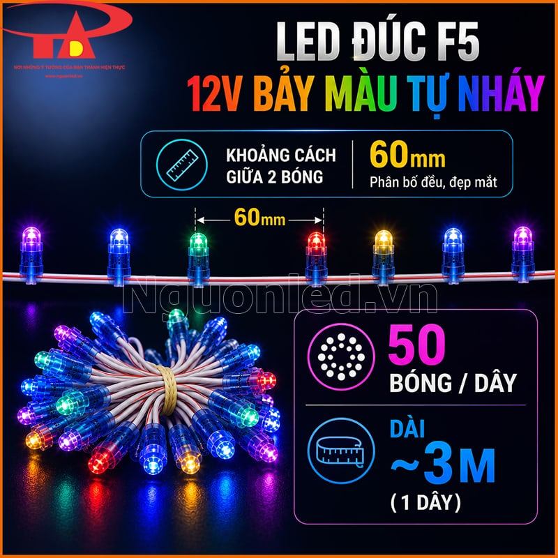Dây LED đúc F5 12V 7 màu tự nháy dài khoảng 3m, 50 bóng, khoảng cách 60mm
