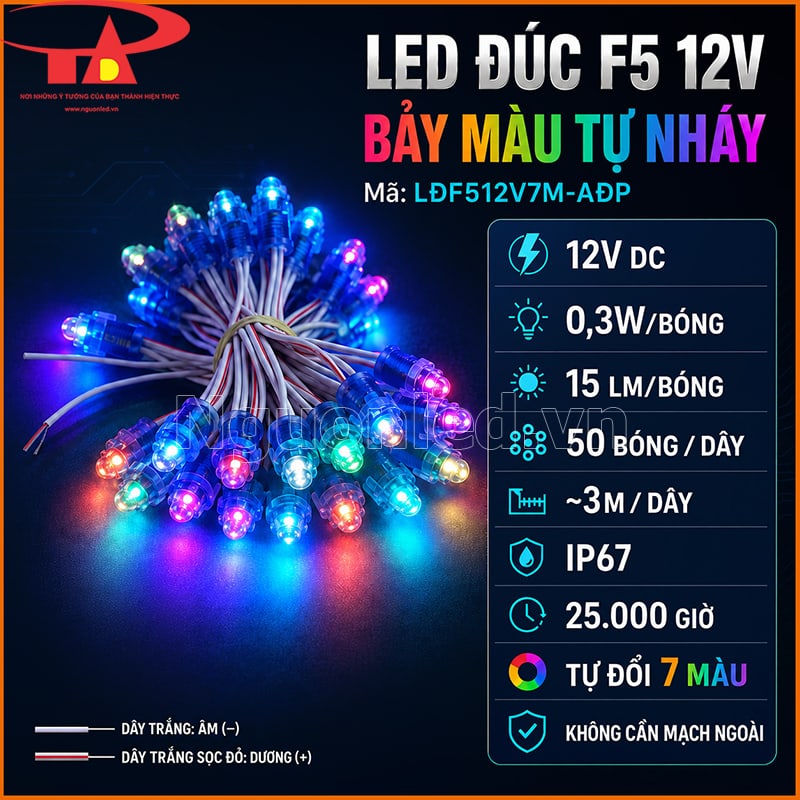 Đèn LED đúc F5 12V 7 màu với 0,3W/bóng, 15 lm, 50 bóng/dây và IP67