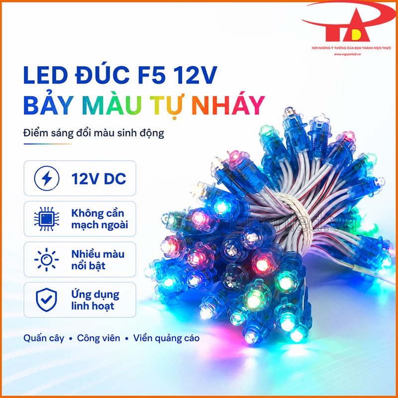 Đèn LED đúc F5 12V bảy màu tự nháy An Đức Phát với 12V DC, nhiều màu và ứng dụng linh hoạt