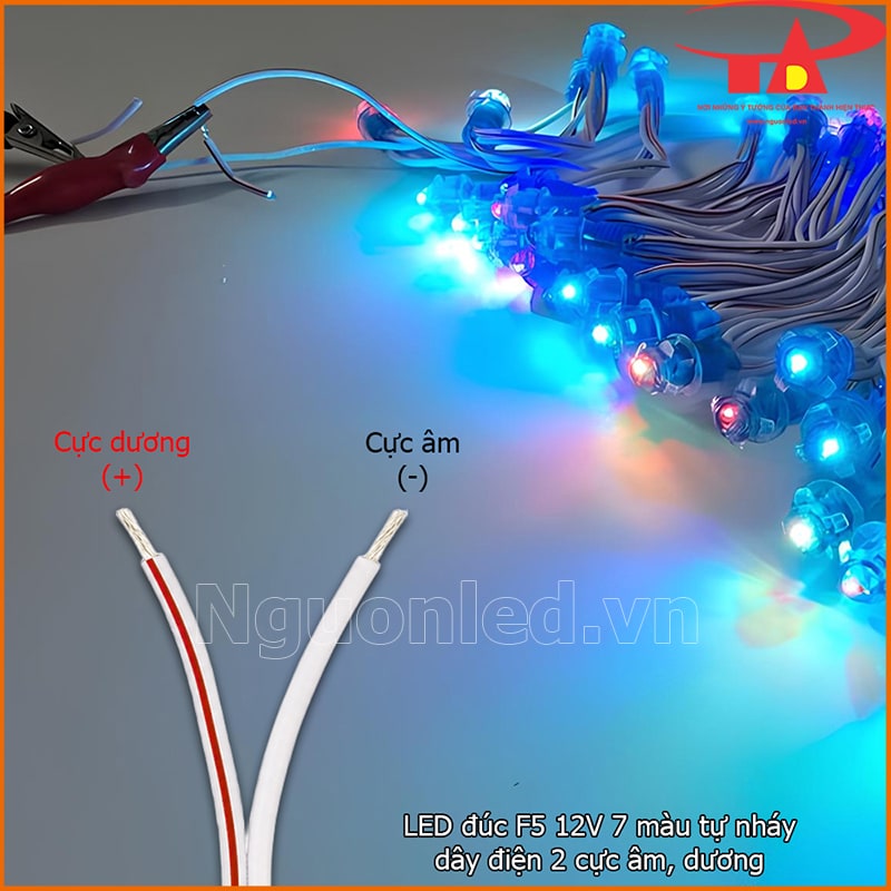 Đèn LED F5 12V bảy màu tự nháy với dây trắng âm và dây trắng sọc đỏ dương