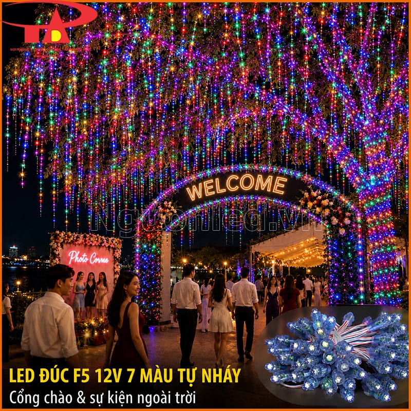 Đèn LED đúc F5 12V bảy màu tự nháy trang trí cổng chào Welcome và lối vào sự kiện