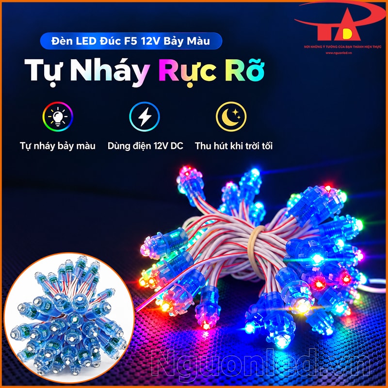 Đèn LED đúc F5 12V bảy màu tự nháy đầu trong suốt, thân xanh dương, tạo nhiều điểm sáng đa sắc