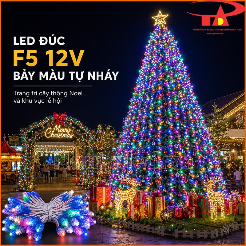 LED đúc F5 12V tự nháy nhiều màu trang trí cây thông Noel lớn và khu lễ hội ngoài trời
