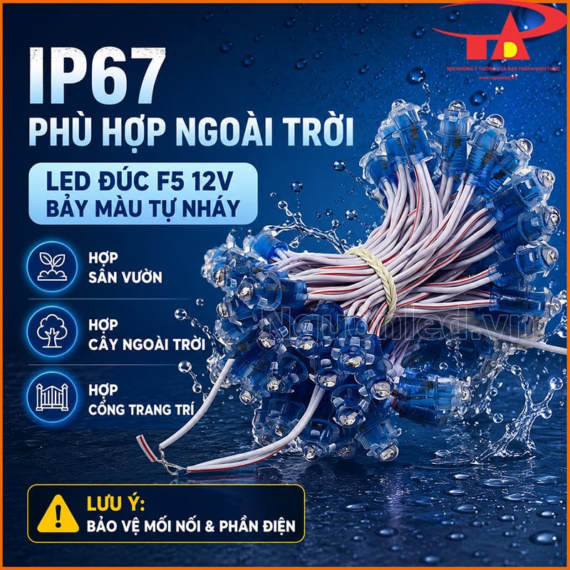Đèn LED đúc F5 12V bảy màu tự nháy IP67 phù hợp sân vườn, cây ngoài trời và cổng trang trí