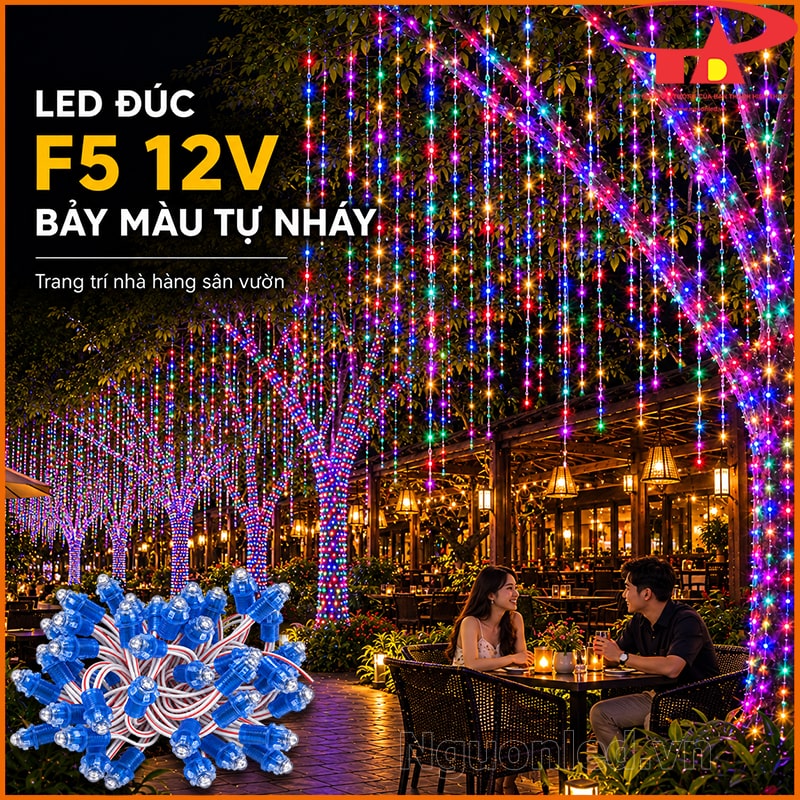 Đèn LED đúc F5 12V 7 màu tự nháy trang trí nhà hàng sân vườn bằng cây quấn đèn và dây LED thả