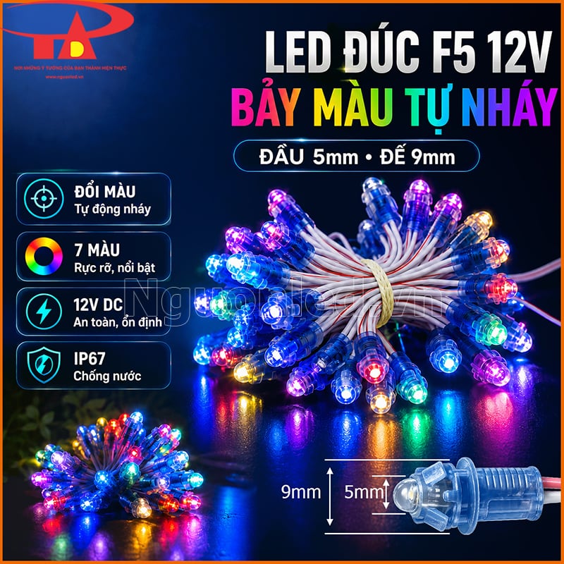 LED đúc F5 12V tự nháy đổi màu với đầu 5mm, đế 9mm, 12V DC và IP67 