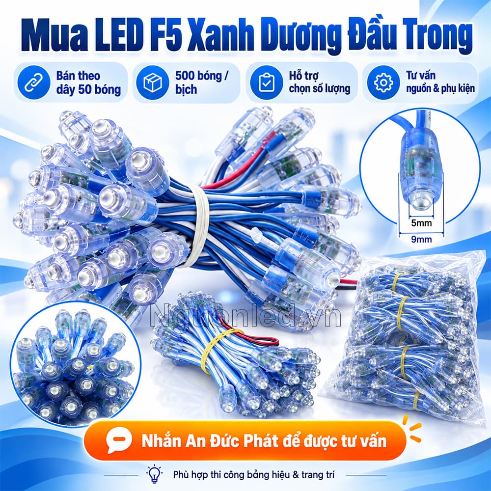 Đèn LED đúc F5 12V xanh dương đầu trong được bán theo dây (bó) gồm 50 bóng