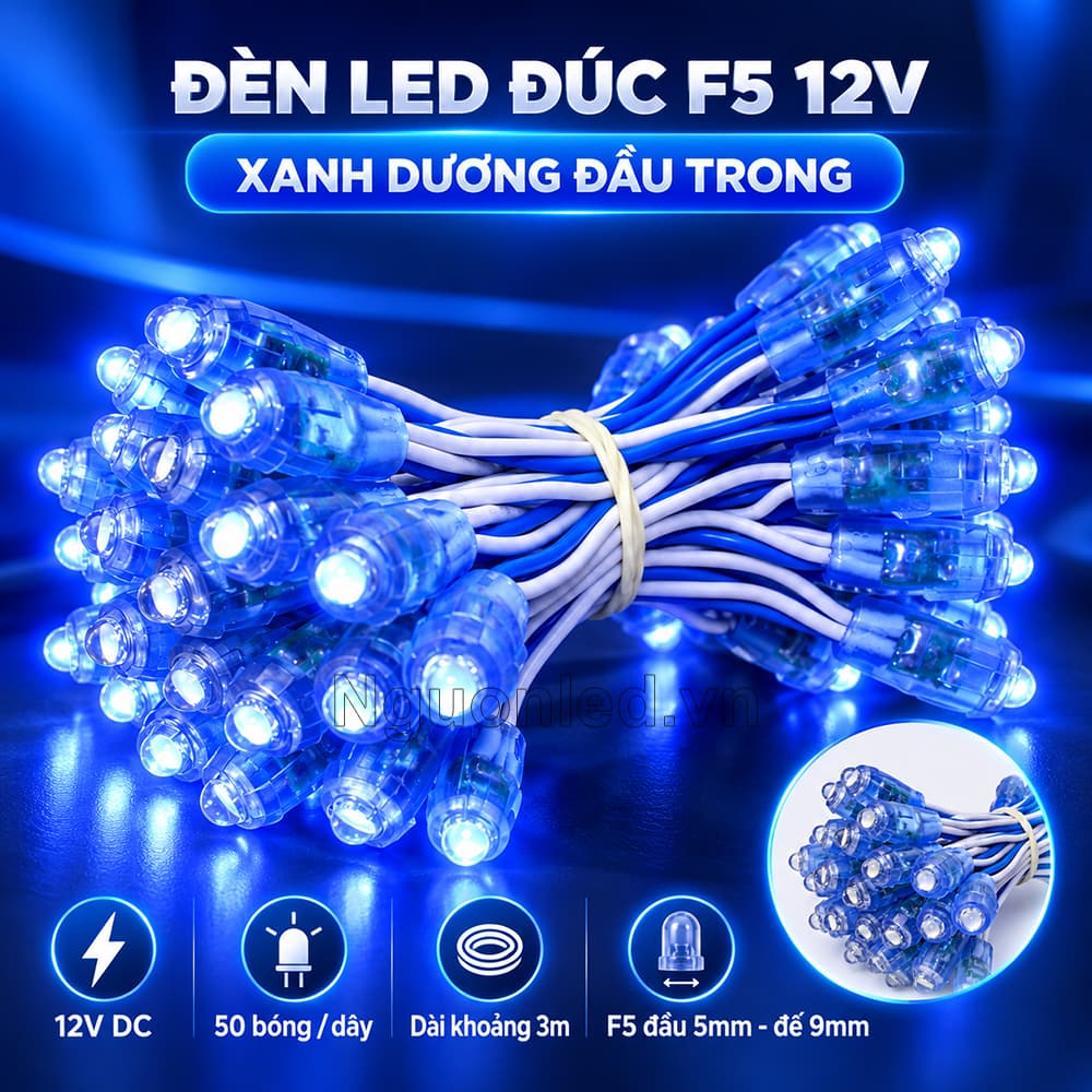 Đèn LED Đúc F5 12V Xanh Dương Đầu Trong đi kèm thông số kỹ thuật xác thực và hình dây LED quấn cây đúng loại F5.