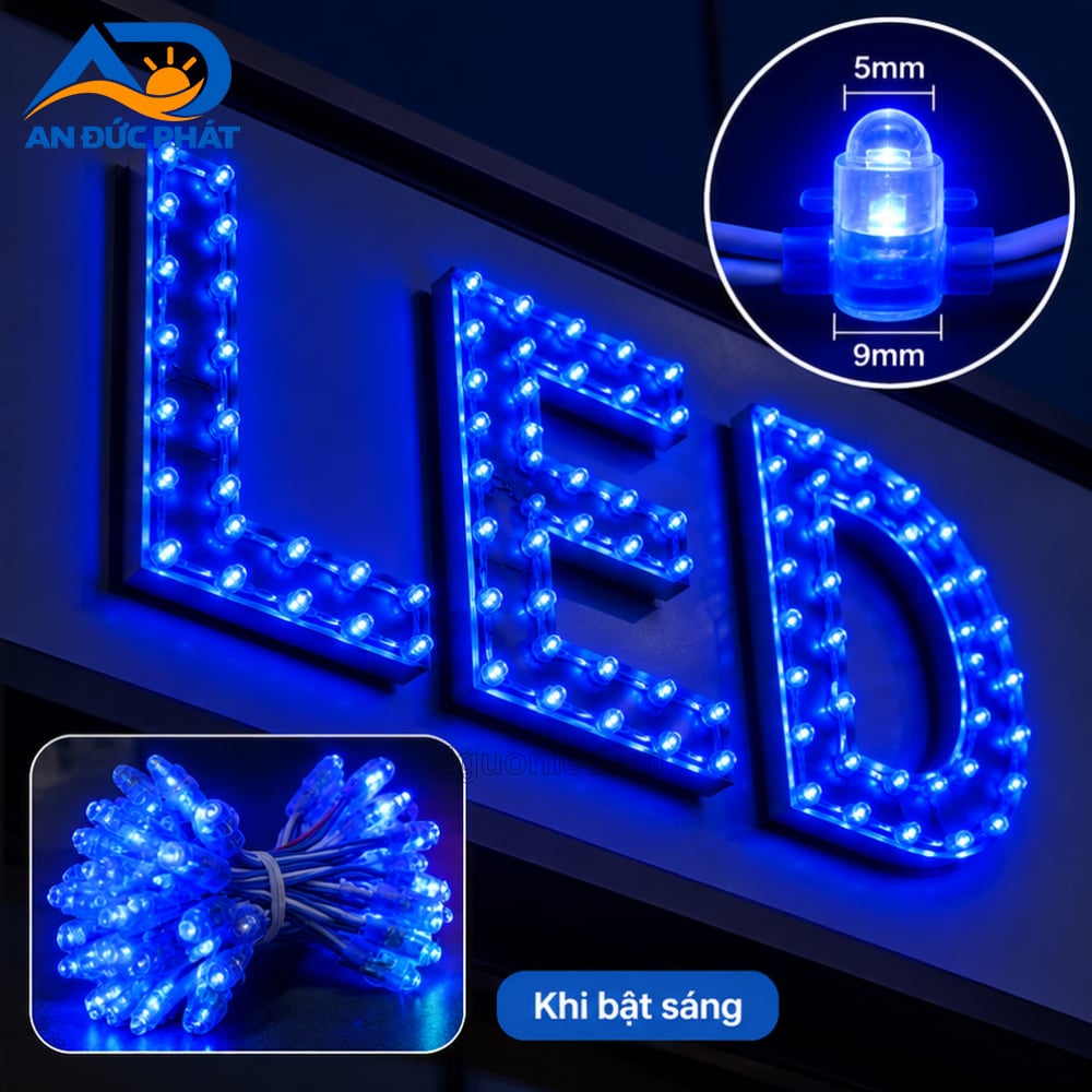 Đèn LED đúc F5 12V xanh dương đầu trong với nhiều bóng nhỏ phát ánh sáng xanh dương trên nền tối cho logo
