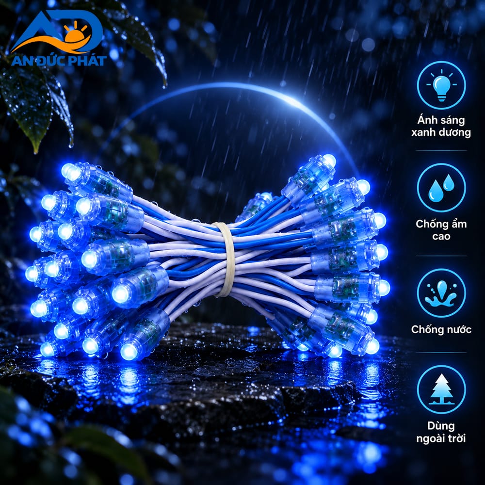 Dây LED đúc F5 12V với nhiều bóng nối liền, được thiết kế dùng ngoài trời với cấp bảo vệ IP66