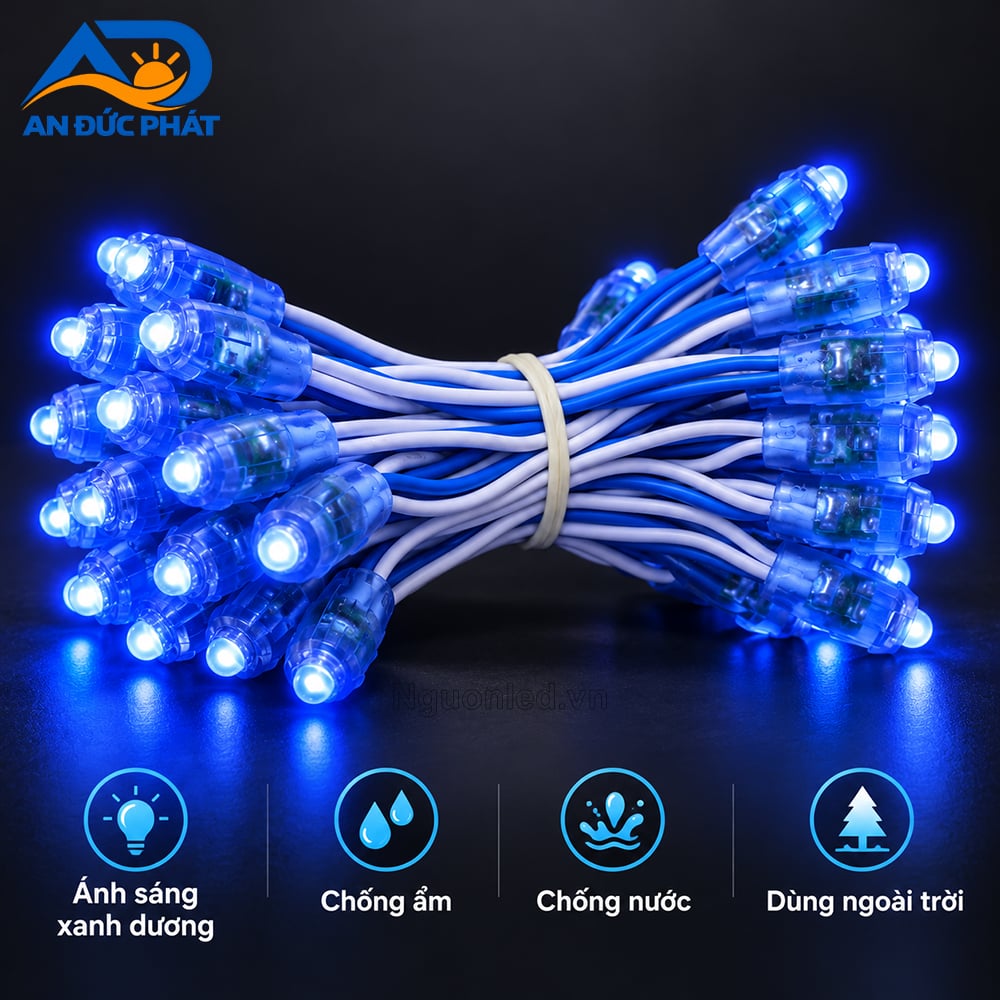 Đèn LED Đúc F5 12V Xanh Dương Đầu Bóng Trong Suốt Làm Rõ Điểm Sáng