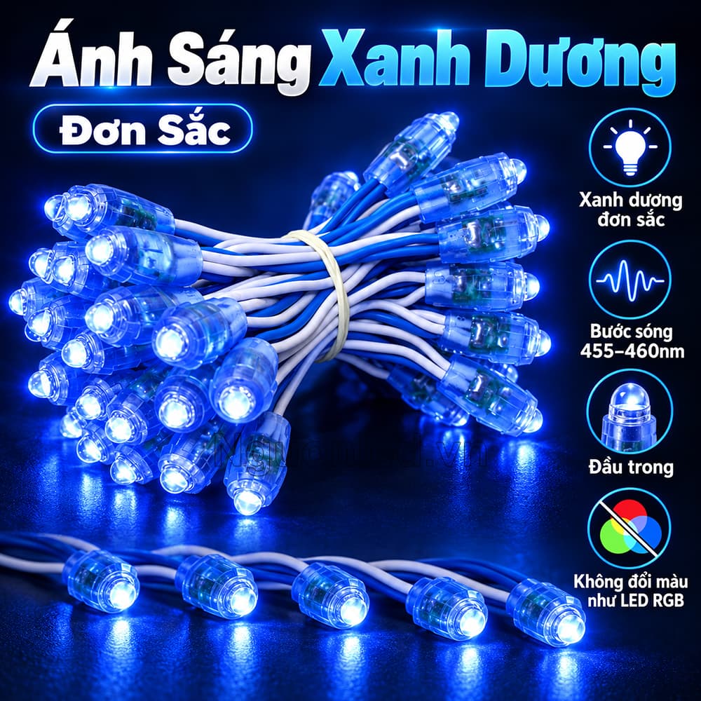 Dây LED F5 đế 9 mm sử dụng điện áp 12V, với ánh sáng xanh dương đơn sắc