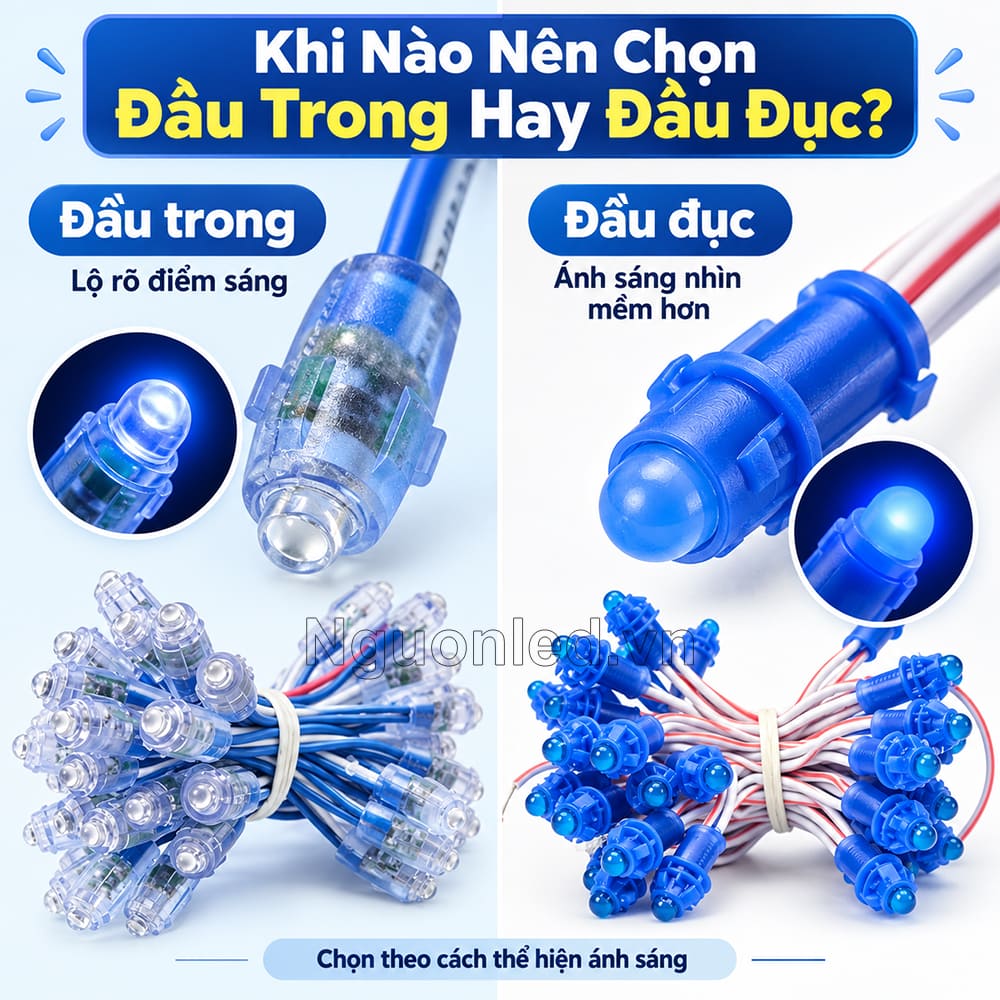 Khi nào chọn đèn LED đúc F5 12V xanh dương đầu trong và đầu đục