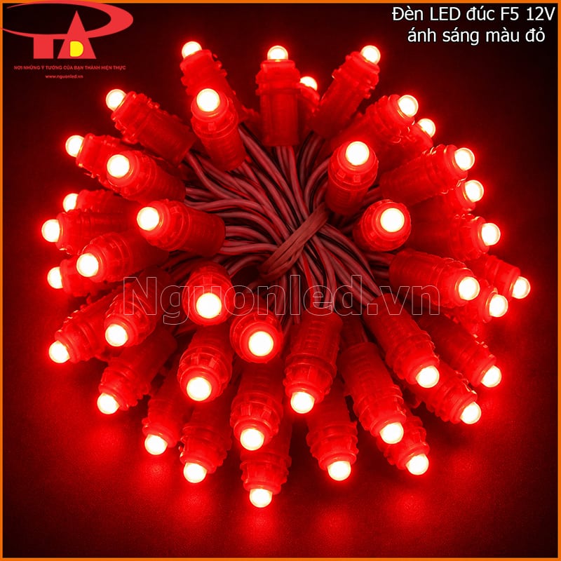  LED đúc F5 12V màu đỏ đang sáng thành bó với nhiều điểm sáng rõ trên nền tối 