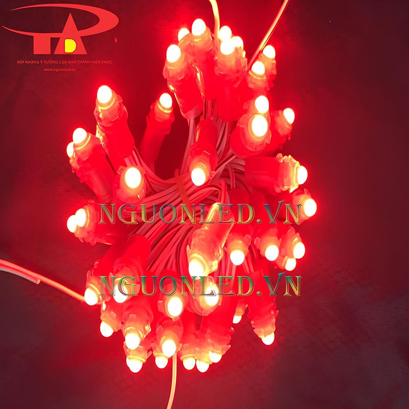 Bóng LED đúc F5 12V màu đỏ đang sáng thử dạng bó trên nền tối