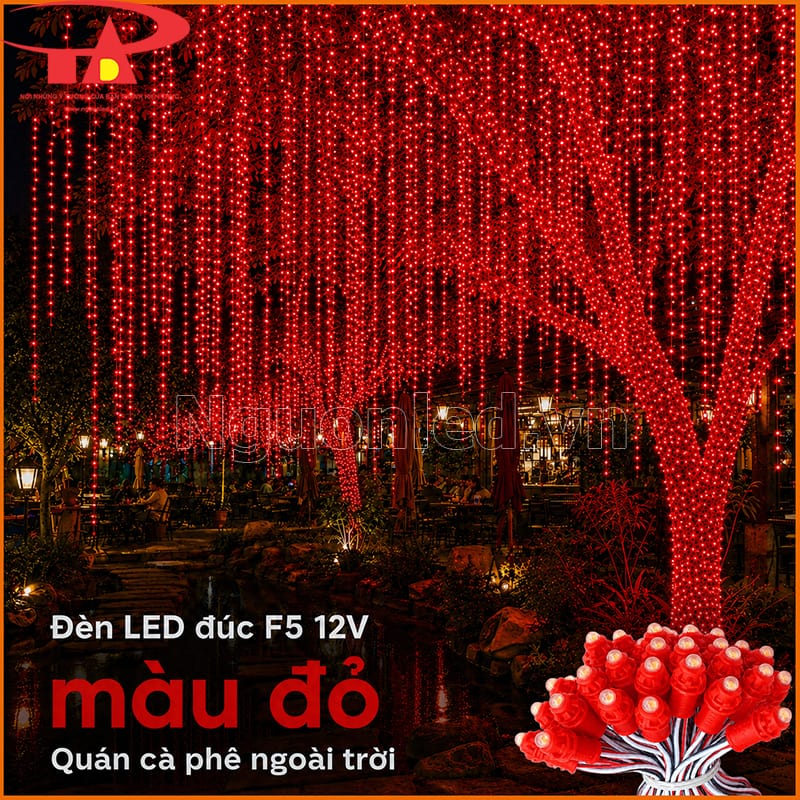 Đèn LED đúc F5 12V màu đỏ quấn dày thân cây và thả rủ trong quán cà phê ngoài trời