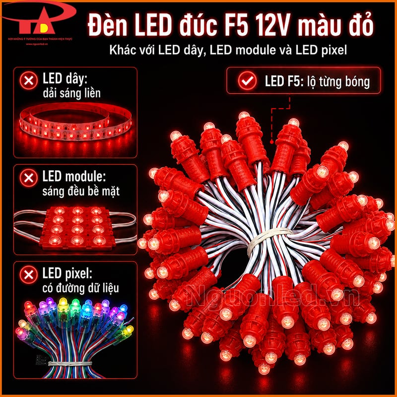LED đúc F5 12V màu đỏ so sánh với LED dây, LED module và LED pixel