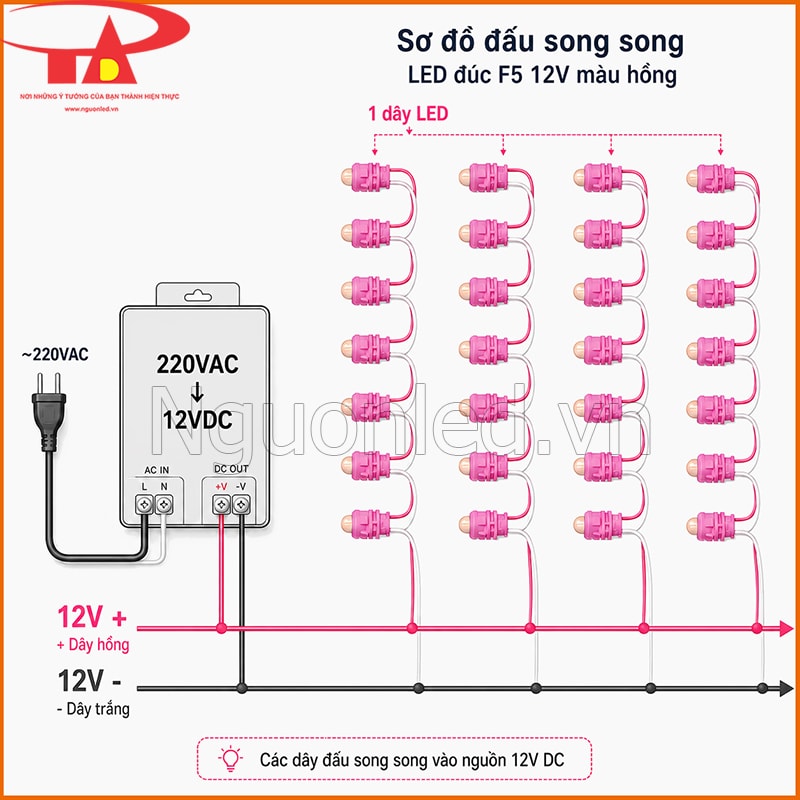 Sơ đồ đấu song song LED đúc F5 12V màu hồng vào nguồn 12V DC