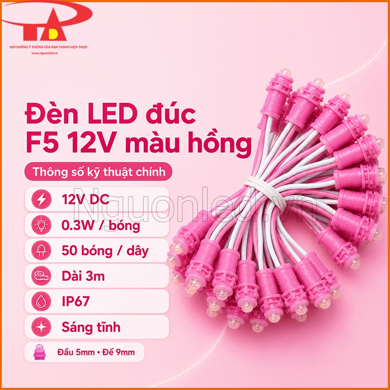 Đèn LED đúc F5 12V màu hồng với 12V DC, 0.3W/bóng, 50 bóng, dây 3m và IP67