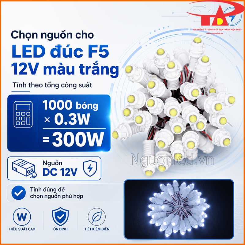 Đèn LED đúc F5 12V màu trắng minh họa cách tính 1000 bóng x 0.3W bằng 300W