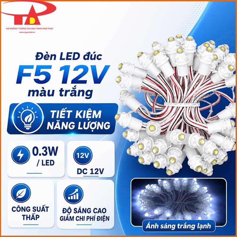 Đèn LED đúc F5 12V màu trắng tiết kiệm năng lượng với 0.3W/LED và nguồn DC 12V