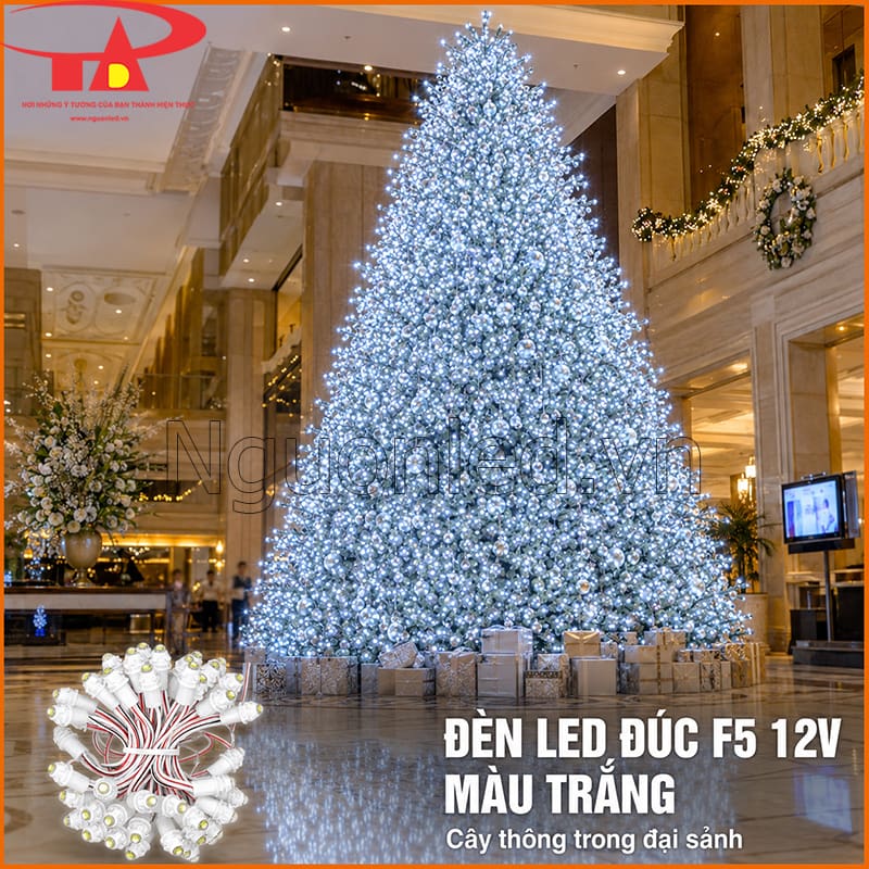Đèn LED đúc F5 12V màu trắng trang trí cây thông lớn trong đại sảnh khách sạn