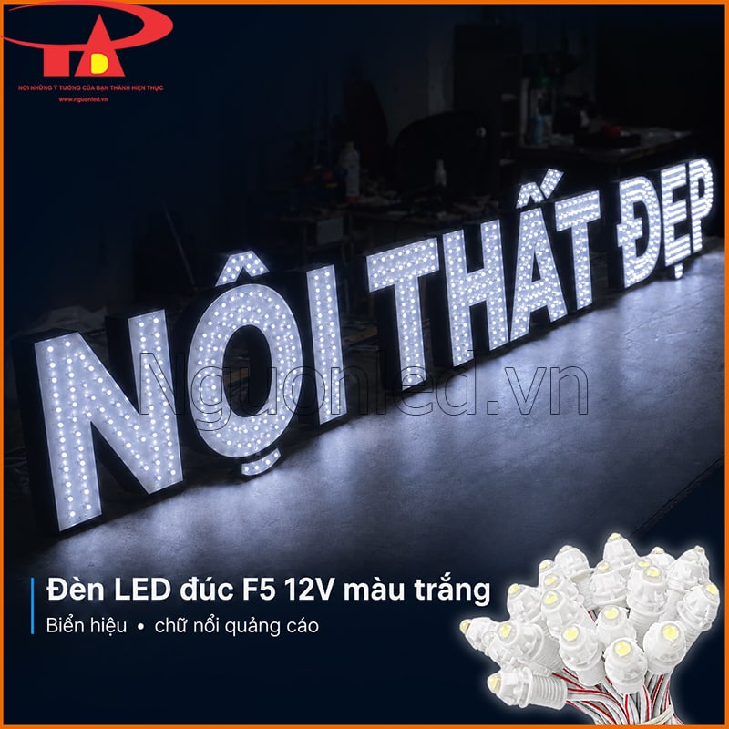 Đèn LED đúc F5 12V ánh sáng trắng gắn trong chữ nổi Nội Thất Đẹp