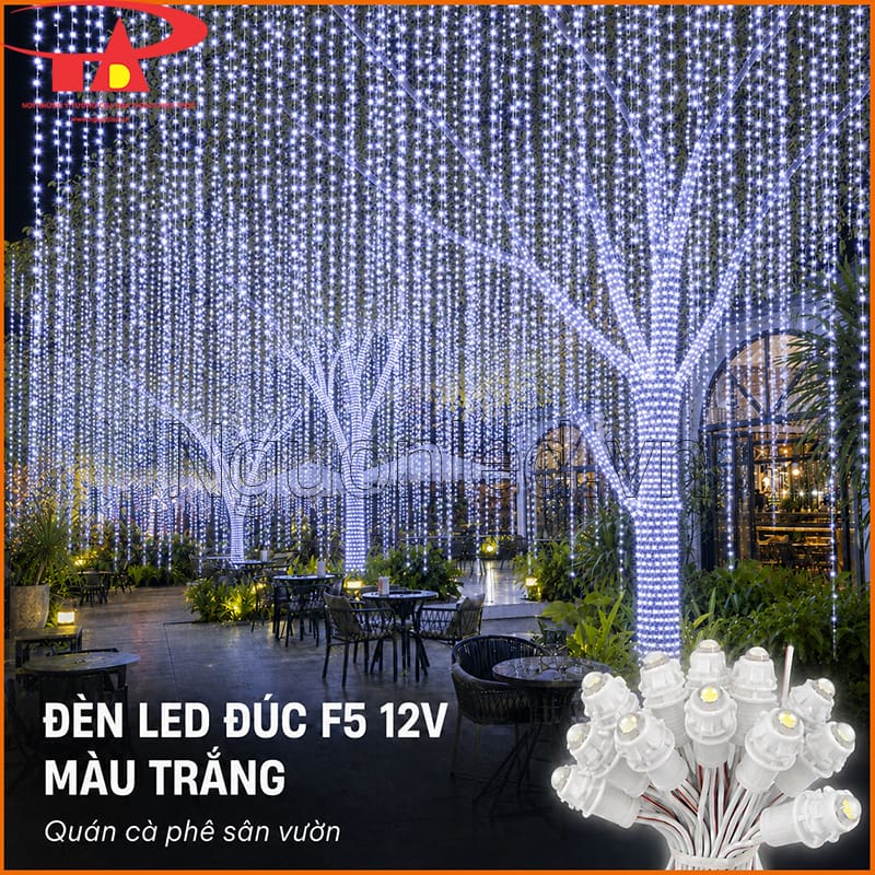 Đèn LED đúc F5 12V màu trắng quấn cây và thả rèm sáng trong quán cà phê sân vườn