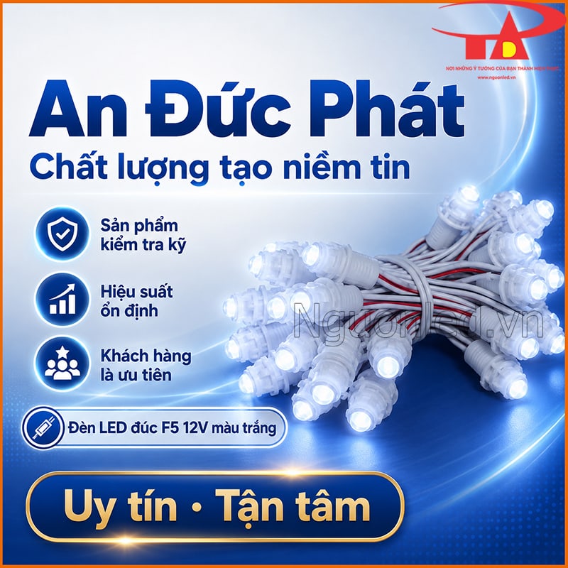 Đèn LED đúc F5 12V màu trắng An Đức Phát kiểm tra kỹ và đảm bảo hiệu suất ổn định