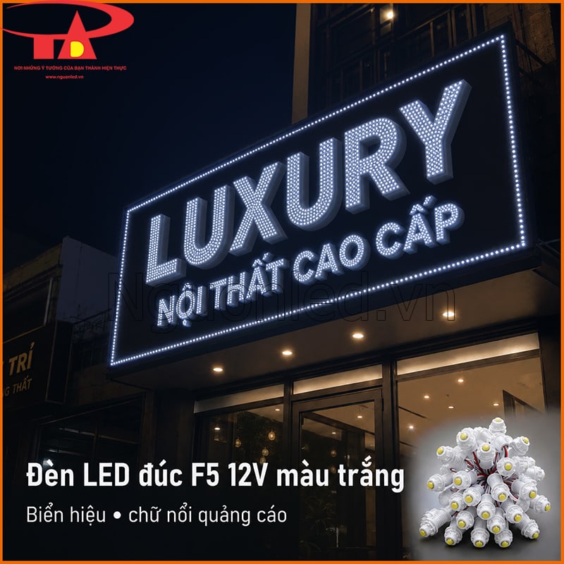 Đèn LED đúc F5 12V màu trắng làm biển hiệu Luxury và chữ nổi quảng cáo
