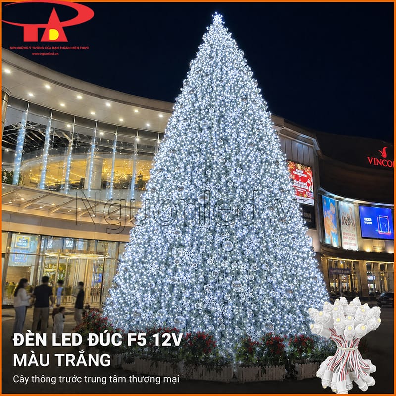 Đèn LED đúc F5 12V màu trắng trang trí cây thông trước trung tâm thương mại