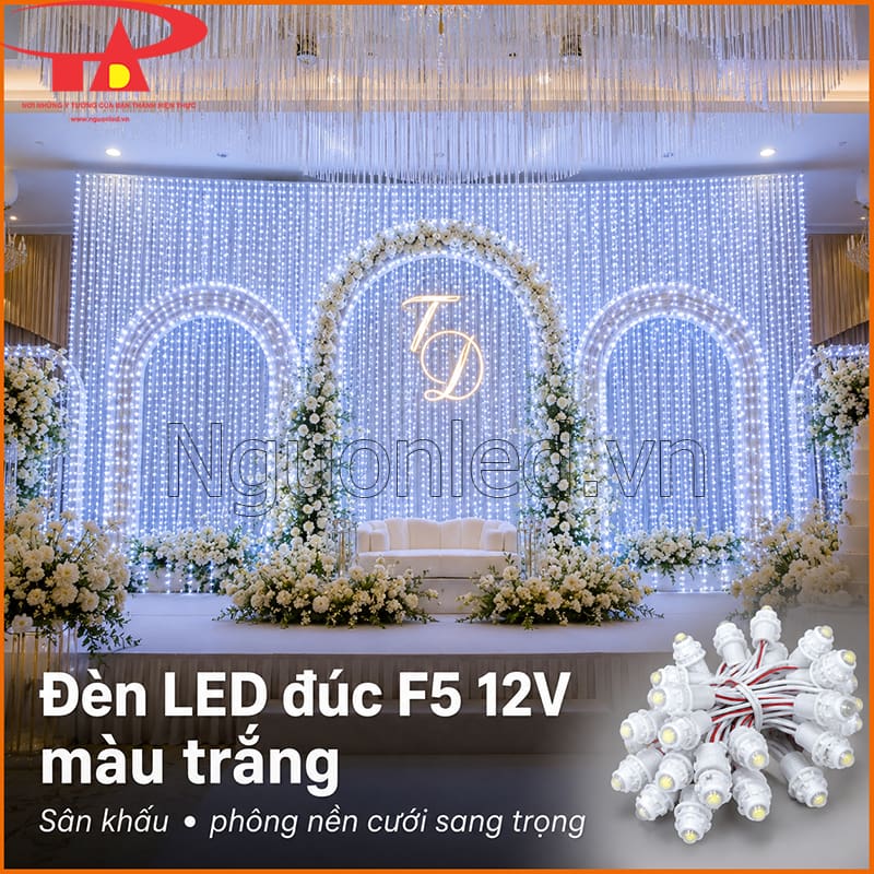 Đèn LED đúc F5 12V màu trắng trang trí sân khấu và phông nền cưới sang trọng