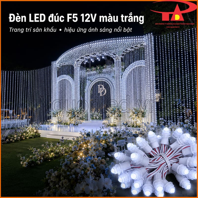 Đèn LED đúc F5 12V ánh sáng trắng trang trí sân khấu sự kiện và khung vòm