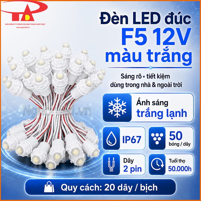 Đèn LED đúc F5 12V màu trắng với IP67, 50 bóng, dây 2 pin và tuổi thọ 50.000h 