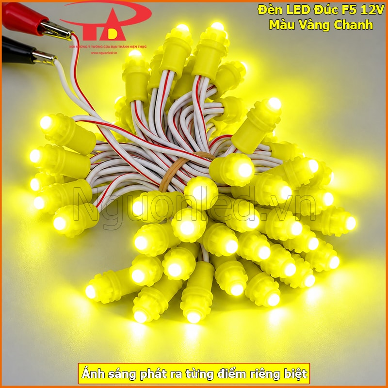 Đang test sáng led đúc f5 12v màu vàng chanh