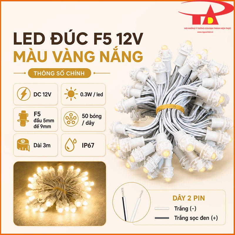  Đèn LED đúc F5 12V màu vàng nắng với DC 12V, 0.3W/LED, 50 bóng, dây 3m và IP67