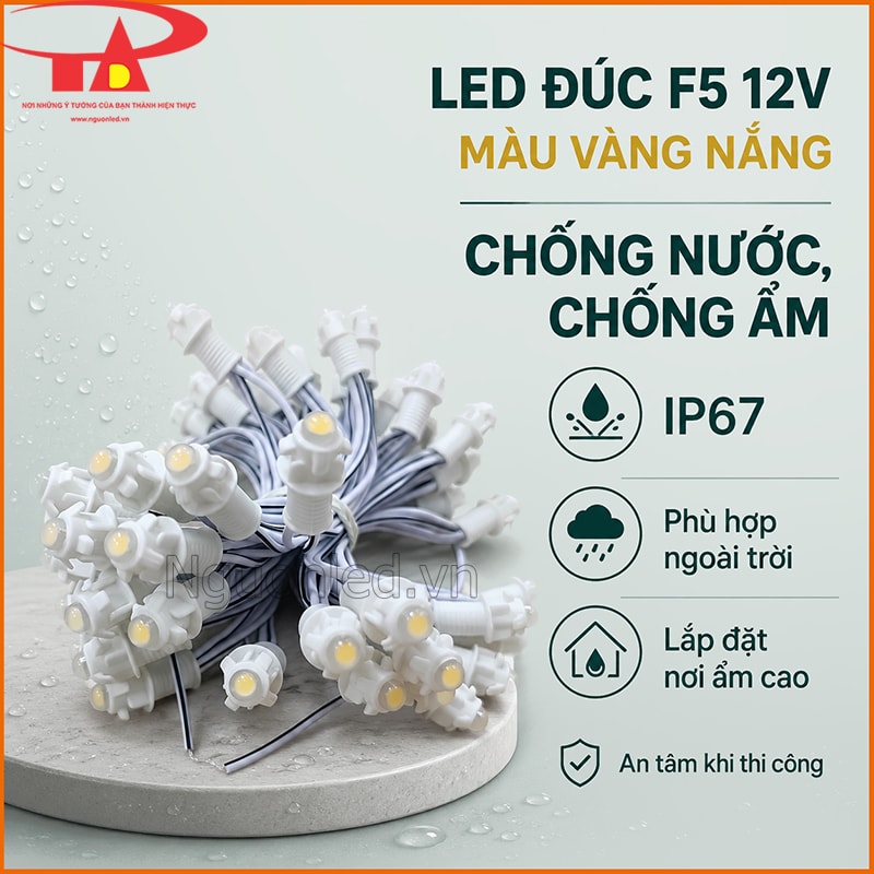Đèn LED đúc F5 12V màu vàng nắng IP67 chống nước, chống ẩm và phù hợp ngoài trời 