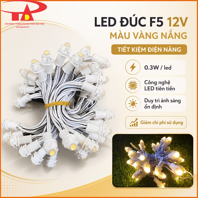 LED đúc F5 12V màu vàng nắng tiết kiệm điện với 0.3W/LED và nguồn DC 12V
