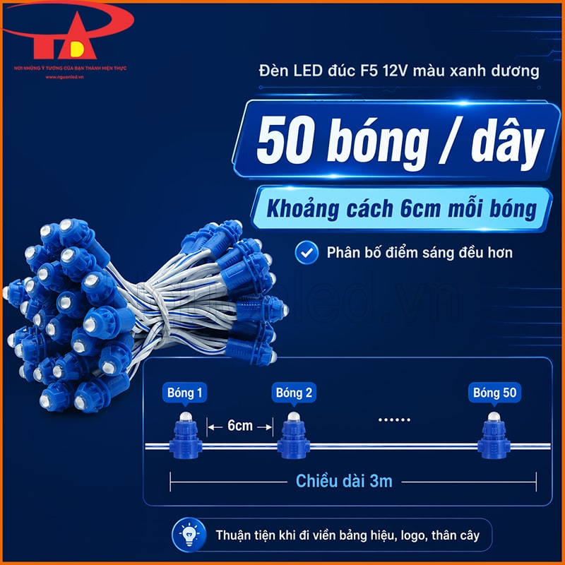 Dây LED đúc 12V xanh dương dài 3m gồm 50 bóng, khoảng cách 6cm mỗi bóng