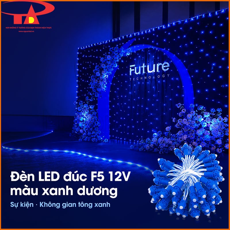 Dây LED đúc 12V xanh dương trang trí sân khấu sự kiện và khu chụp ảnh