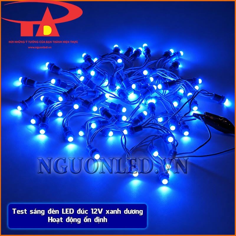 Đèn LED đúc F5 12V màu xanh dương hoạt động ổn định khi test sáng