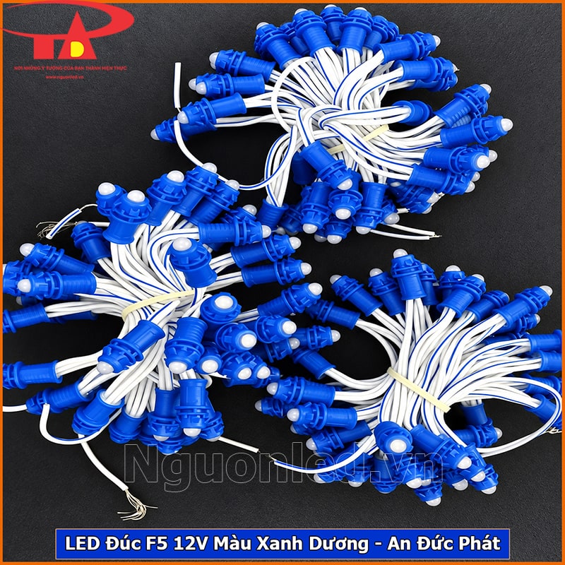 Đèn LED đúc F5 12V màu xanh dương xếp thành bó trên nền đen