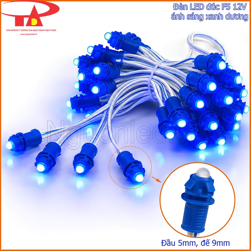 LED đúc 5mm xanh dương đang sáng với phần đầu 5mm và đế 9mm phóng lớn