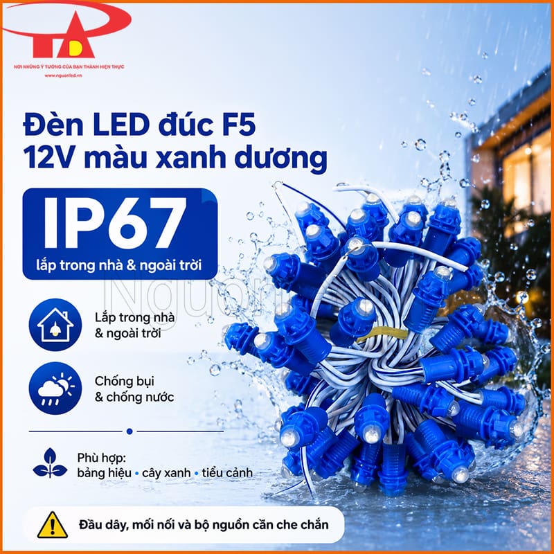 Đèn LED đúc F5 12V màu xanh dương IP67 lắp trong nhà và ngoài trời 
