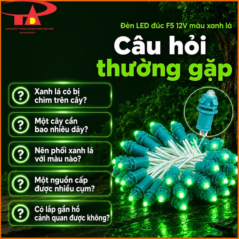 Đèn LED đúc F5 12V màu xanh lá với các câu hỏi thường gặp về quấn cây, nguồn và IP67